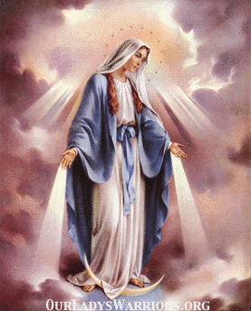 Image result for virgin mary blue